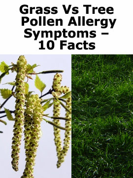 Grass Tree Pollen Allergy Symptoms